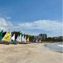 Passeio de Jangada nas Piscinas Naturais de Pajuçara