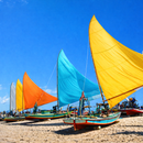Passeio de Jangada nas Piscinas Naturais de Pajuçara