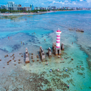 Passeio de Jangada nas Piscinas Naturais da Ponta Verde