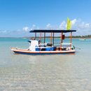 Passeio de Jangada nas Piscinas Naturais da Ponta Verde